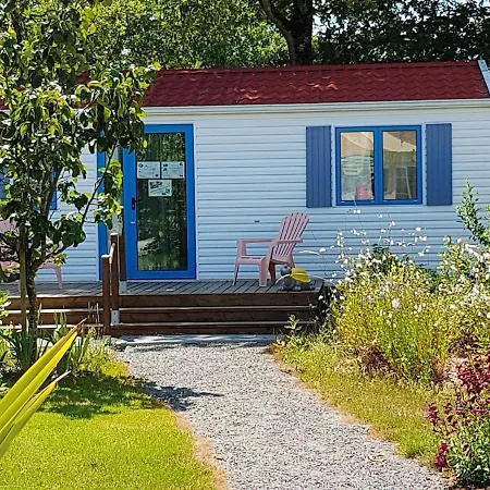 Hébergement de vacances Bungalow De 2 Chambres Avec Piscine Partagee Et Terrasse Amenagee A